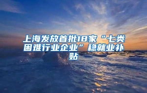 上海发放首批18家“七类困难行业企业”稳就业补贴