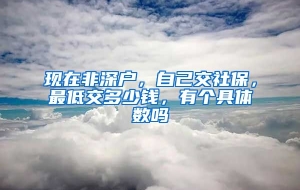 现在非深户，自己交社保，最低交多少钱，有个具体数吗