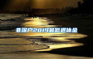 非深户2019最低退休金