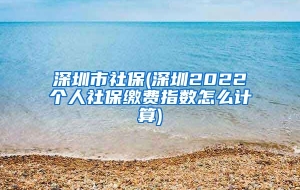 深圳市社保(深圳2022个人社保缴费指数怎么计算)