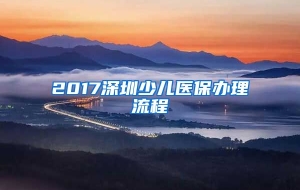 2017深圳少儿医保办理流程