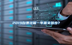 2019自费社保一年需交多少？