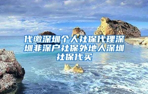 代缴深圳个人社保代理深圳非深户社保外地人深圳社保代买