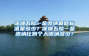 深圳五险一金缴纳最低标准是多少？深圳五险一金缴纳比例个人缴纳多少？