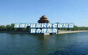 深圳户籍居民养老保险参保办理指南