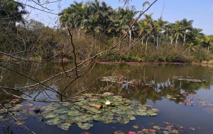 深圳留学生落户需要资料的“破圈”之路！